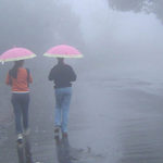 Mahabaleshwar mist