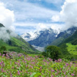 Valley-of-Flowers