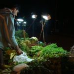 Eco-friendly Ideas - Selco Solar Lamp for Street Vendors