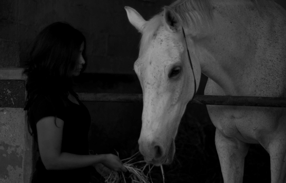 horse-love