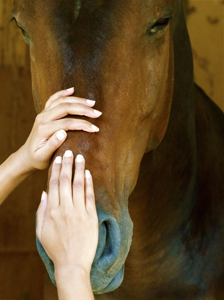 pampering-hourse