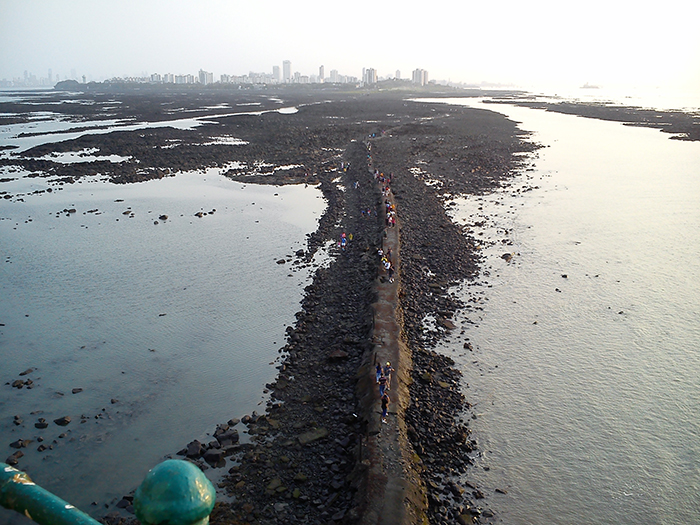 Solitary Reapers -View from light house