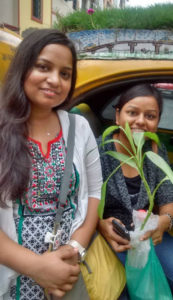 Bapi-GreenTaxi-4