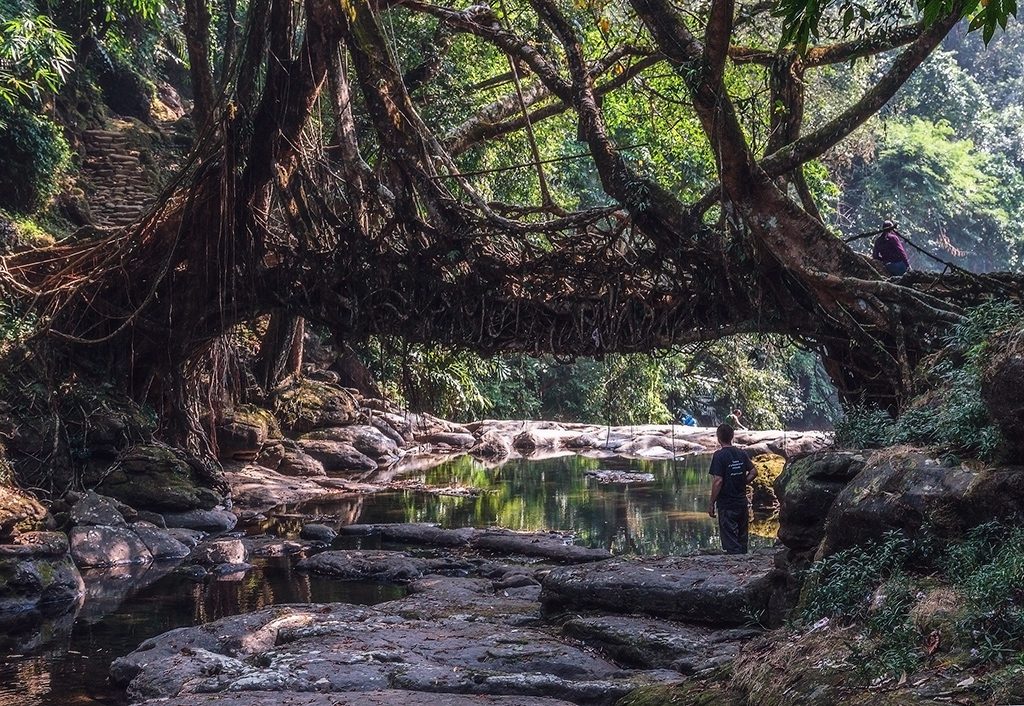 Beautiful-Offbeat-Places-in-India-Mawlynnong,-Meghalaya