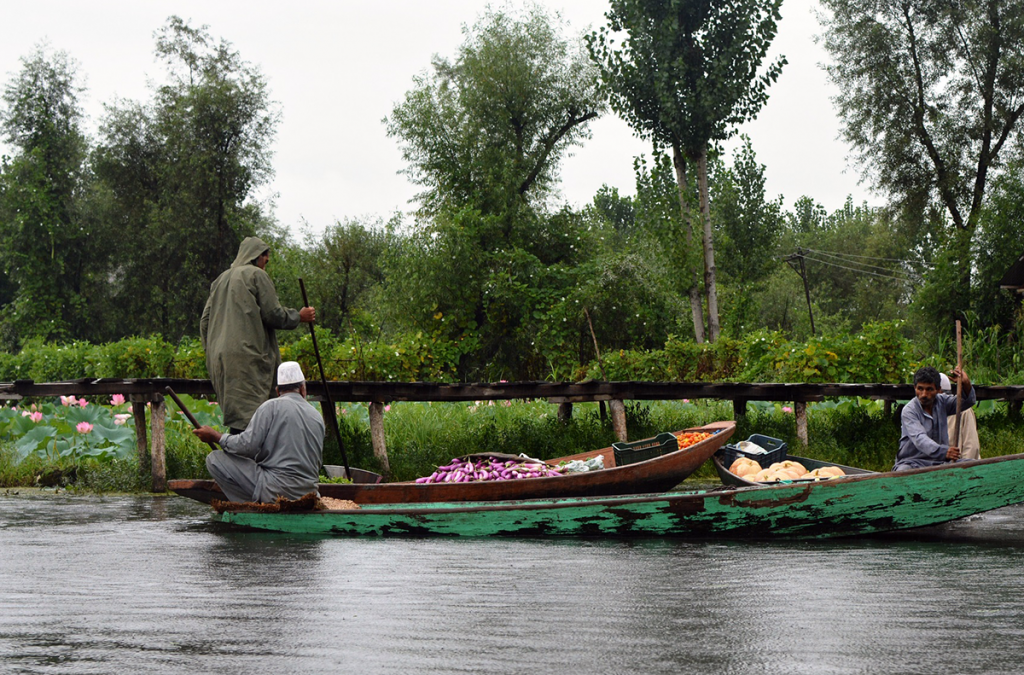Dal-lake,-Srinagar,-Kashmir-02