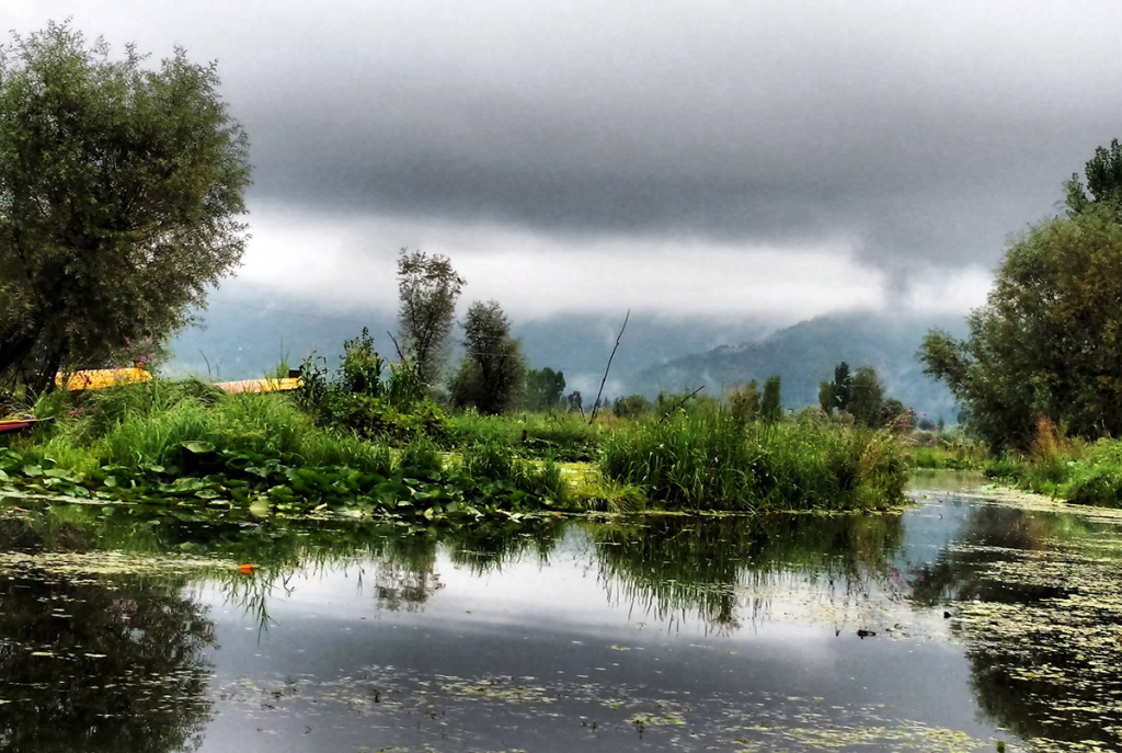 Dal-lake,-Srinagar,-Kashmir-04