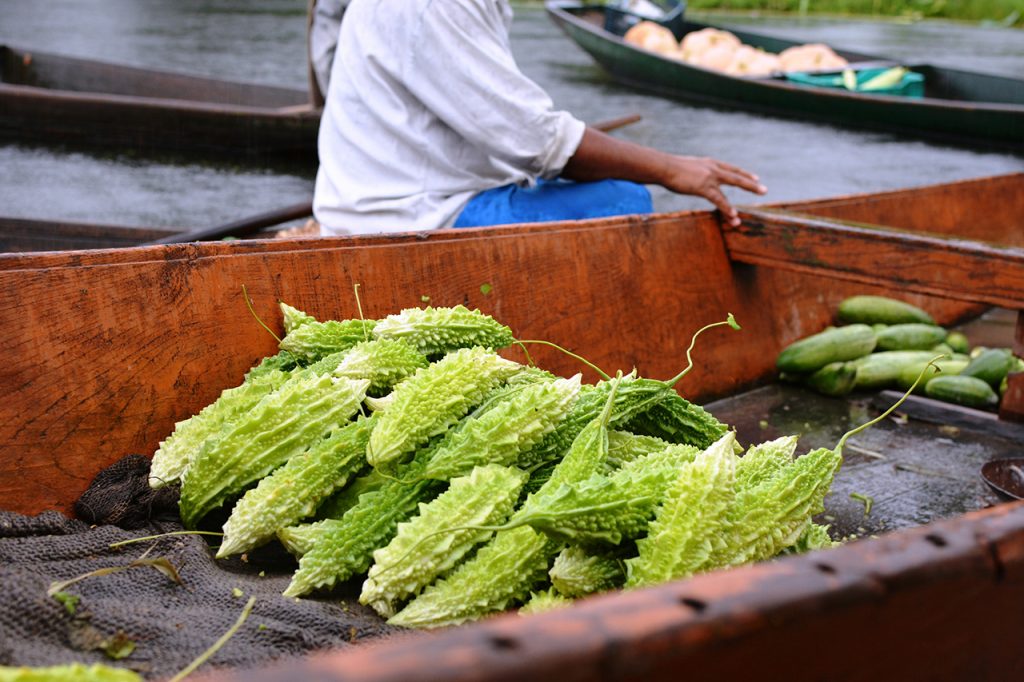 Dal-lake,-Srinagar,-Kashmir-06