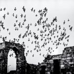 Qutab Minar Photo Feature-01