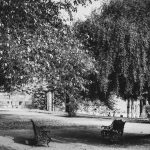 Qutab Minar Photo Feature-10