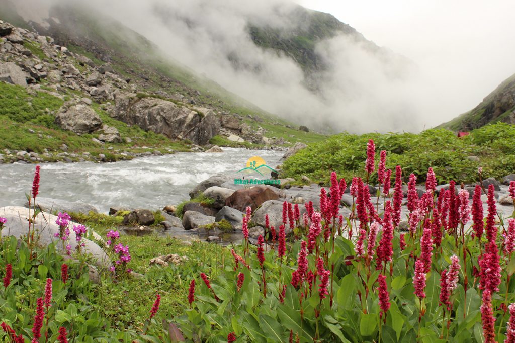 Hampta-Pass-Trek-4