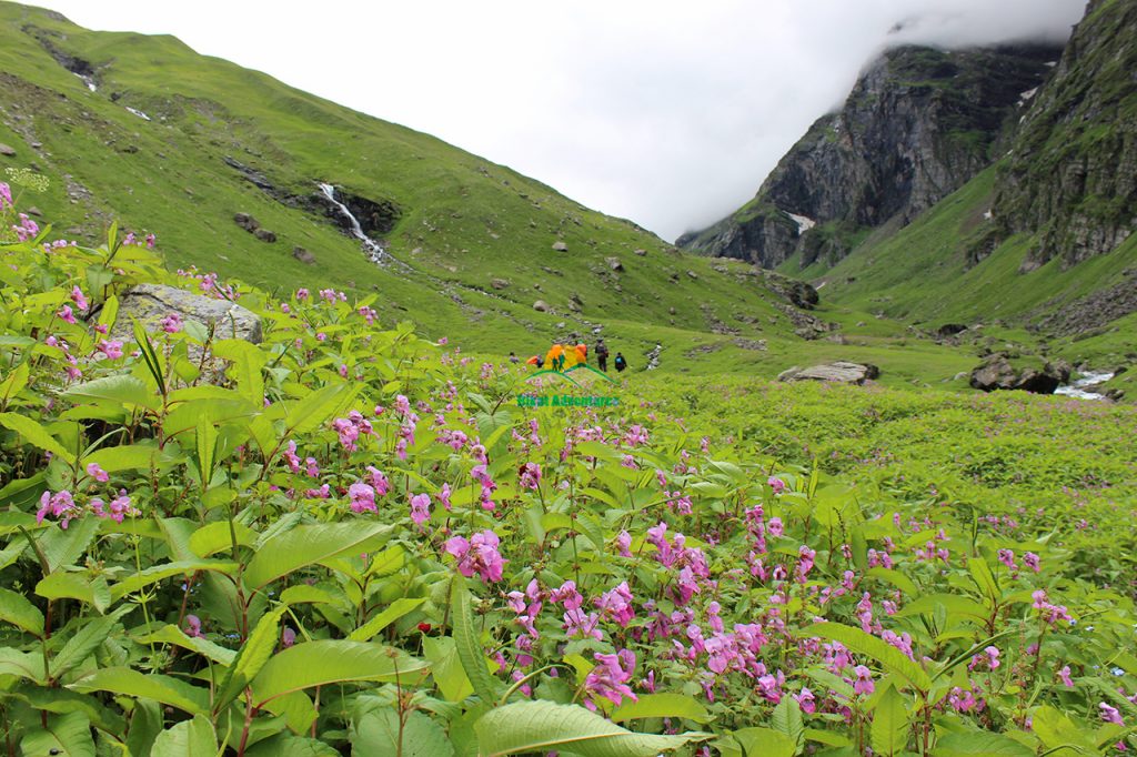 Hampta-Pass-Trek