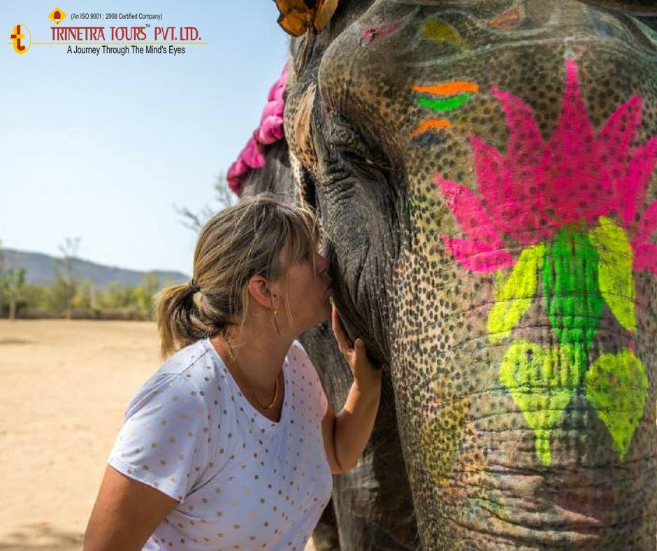 Tours To India – Trinetra Tours