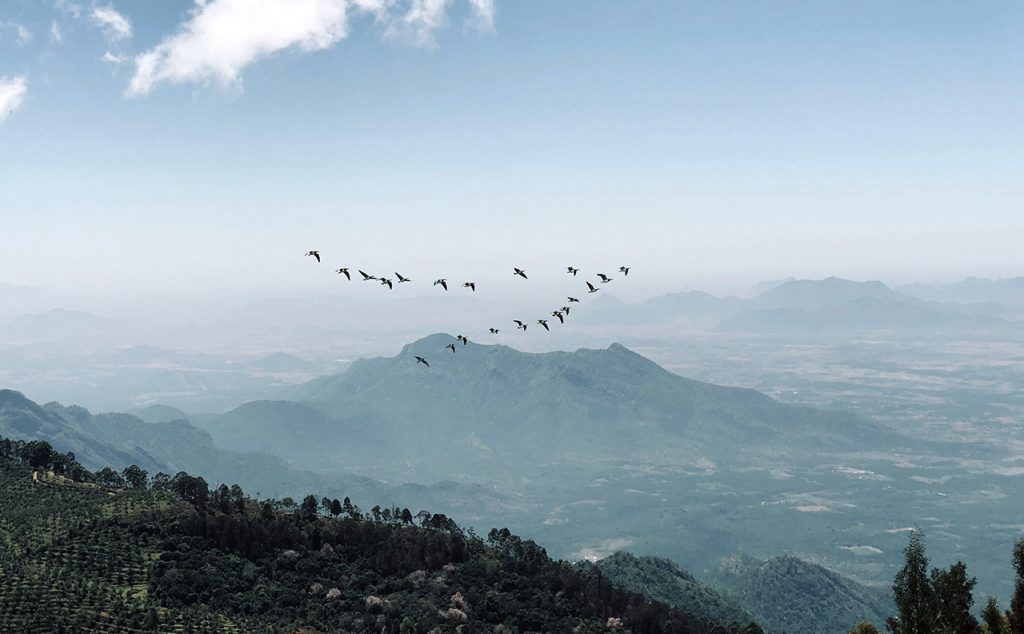 Most-Beautiful-Honeymoon-Places-in-India-Ooty
