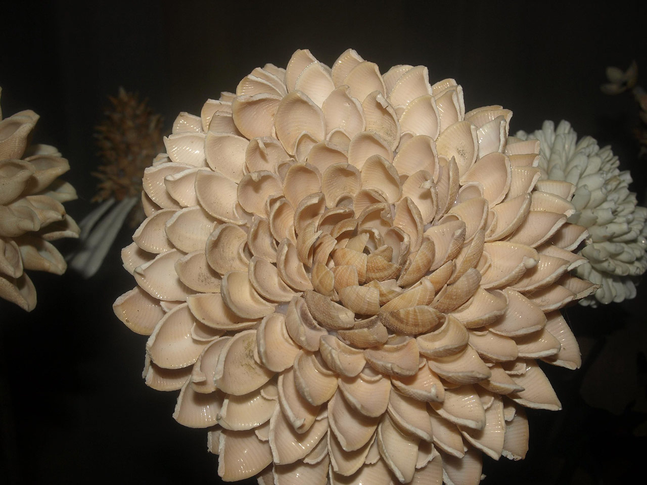 Handicrafts-of-India-Shellcraft