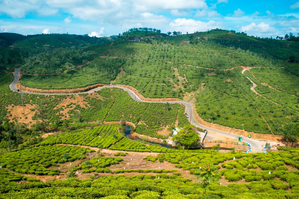 Places to visit in Kerala, Vagamon
