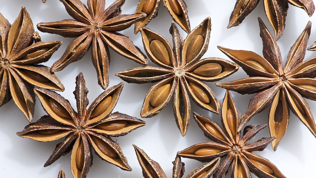 Spices of Kerala-Star Anise