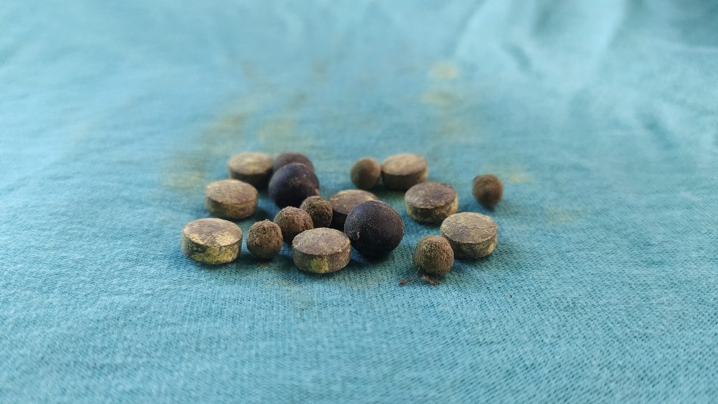 Mana Village Traditional medicine