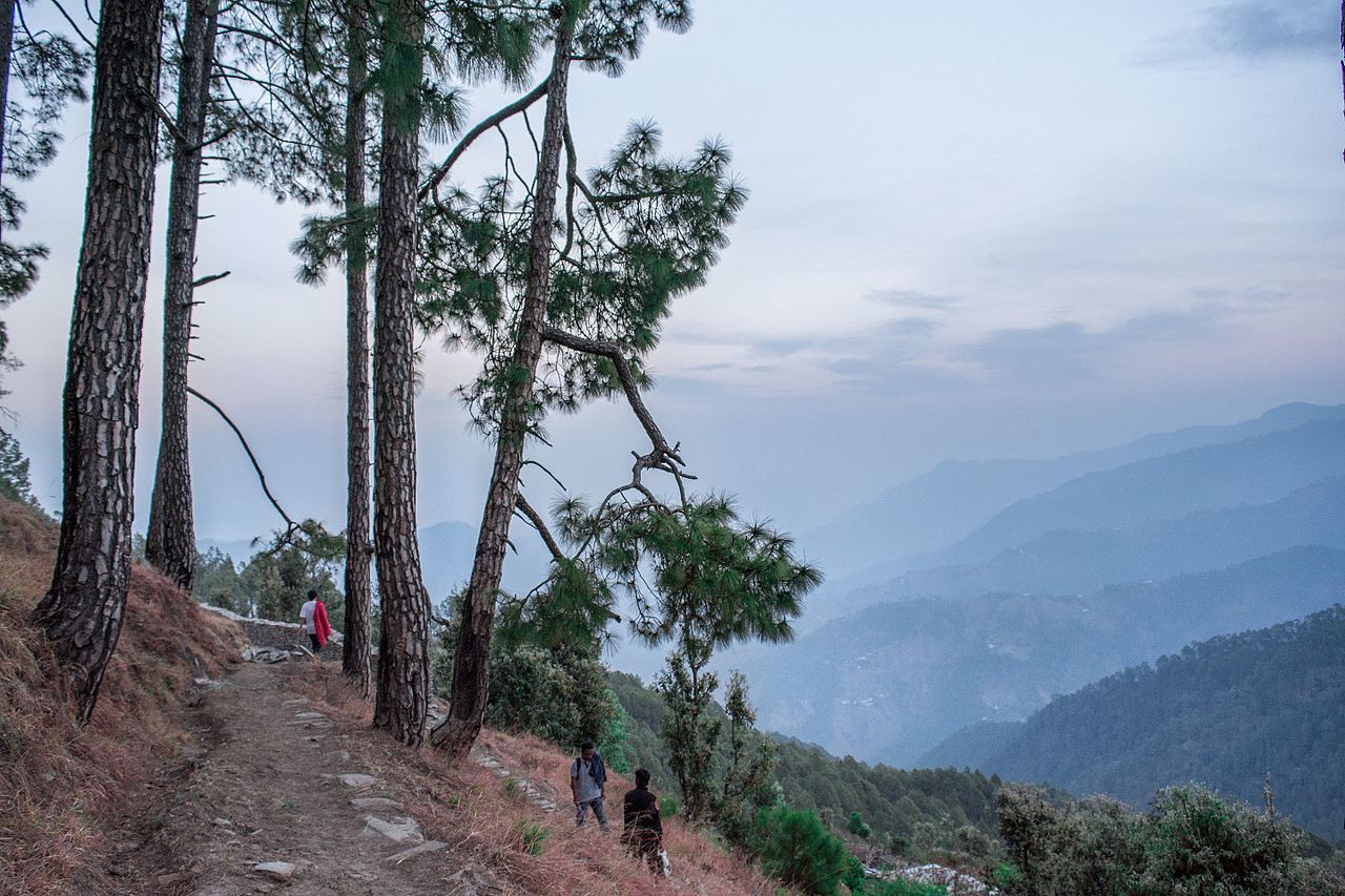 Top Monsoon Destinations, Binsar 