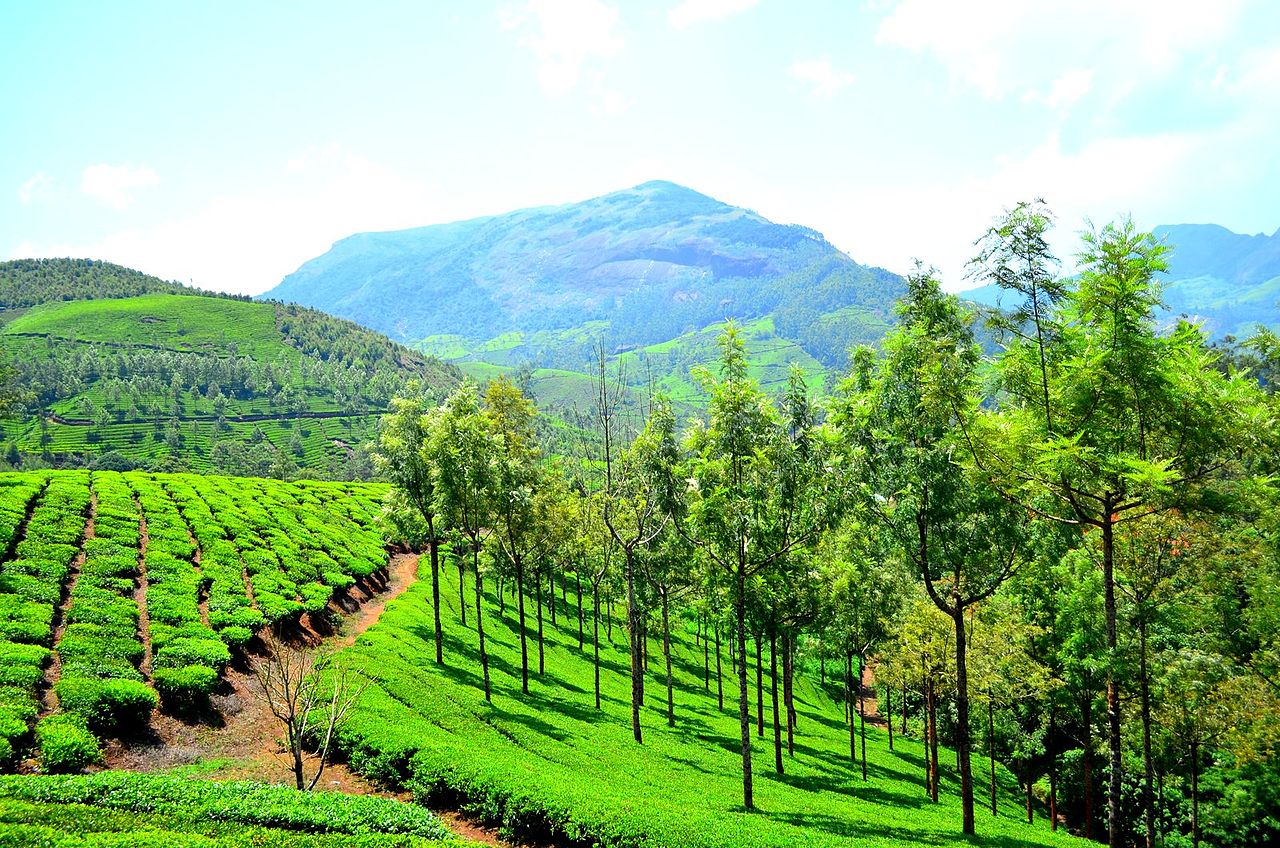 Top Monsoon Destinations, Munnar