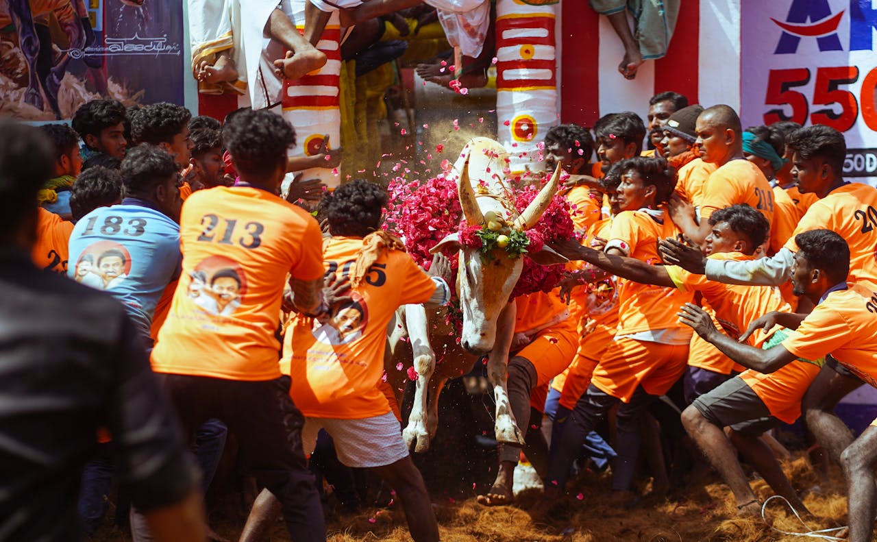 FAQs About Winter Festivals of India