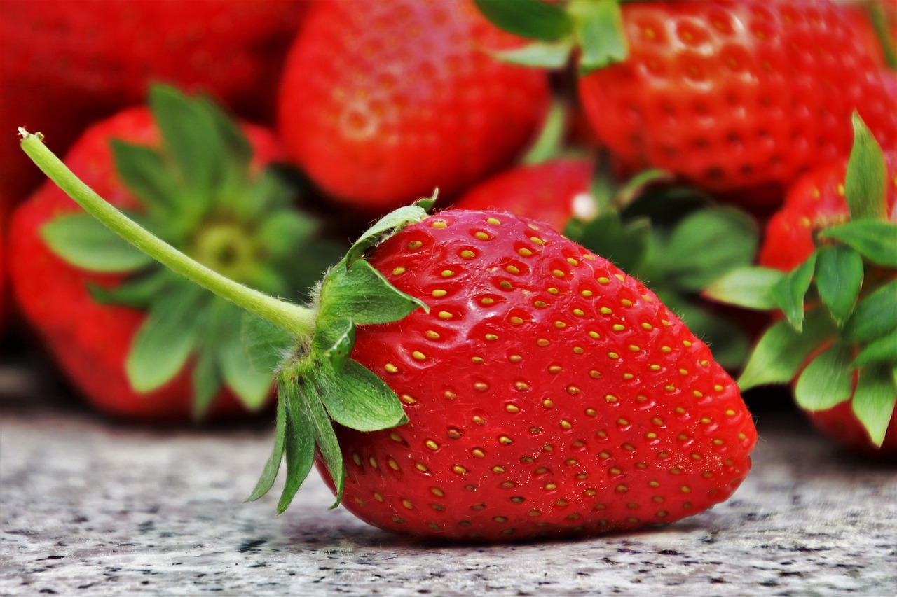 Festivals of Meghalaya-Strawberry Festival