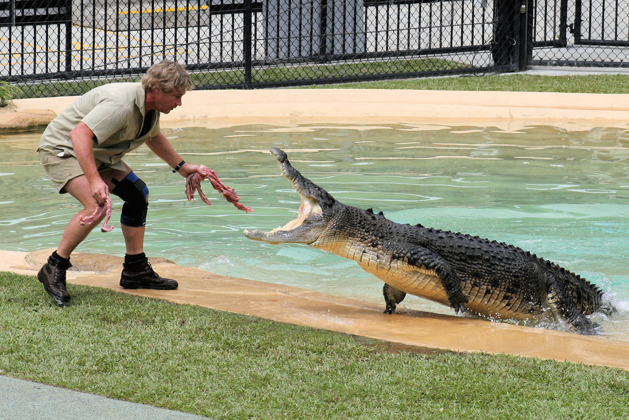 The-Wild-Wild-Dream-Steve-Irwin
