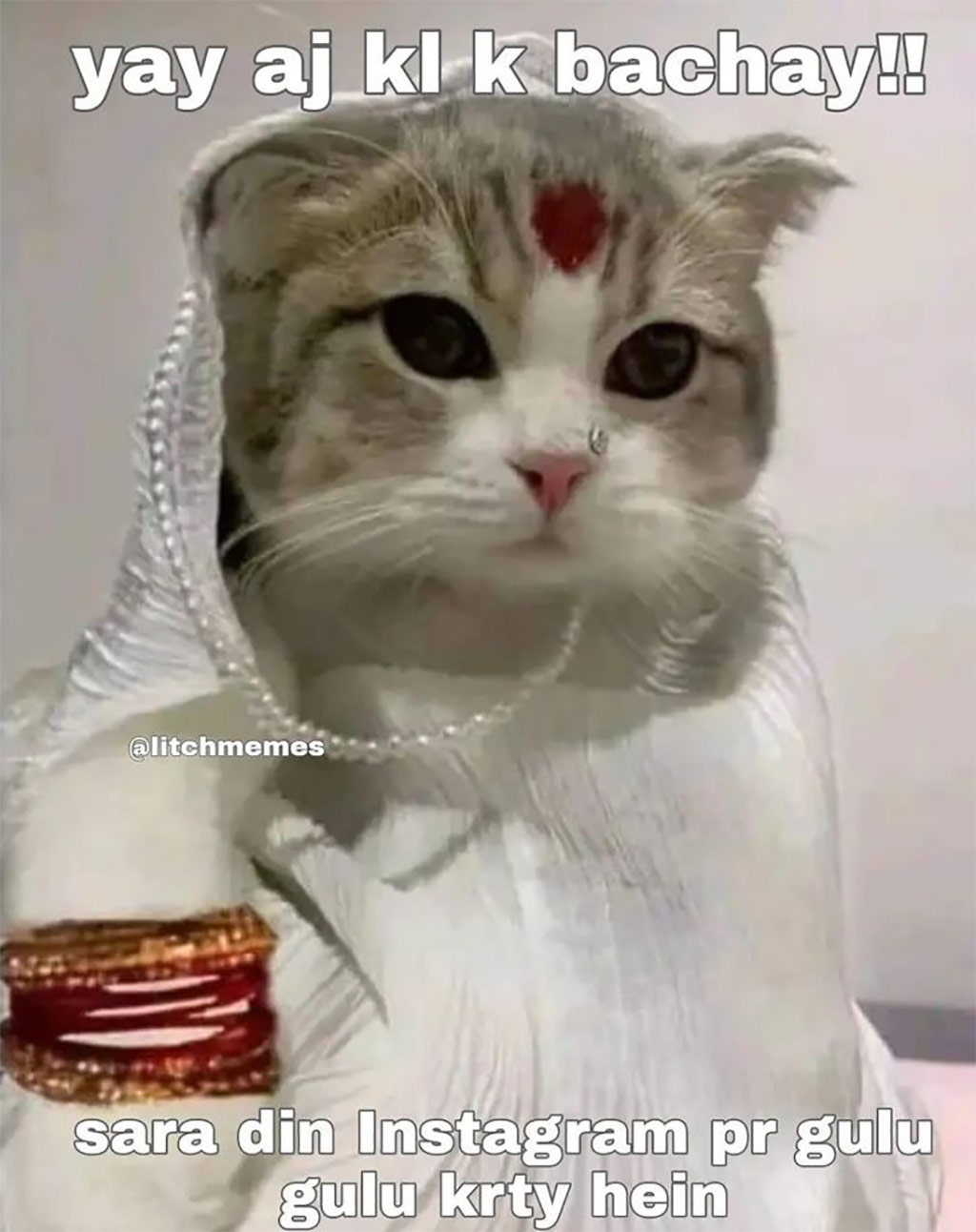 Meme-Culture-in-India-06