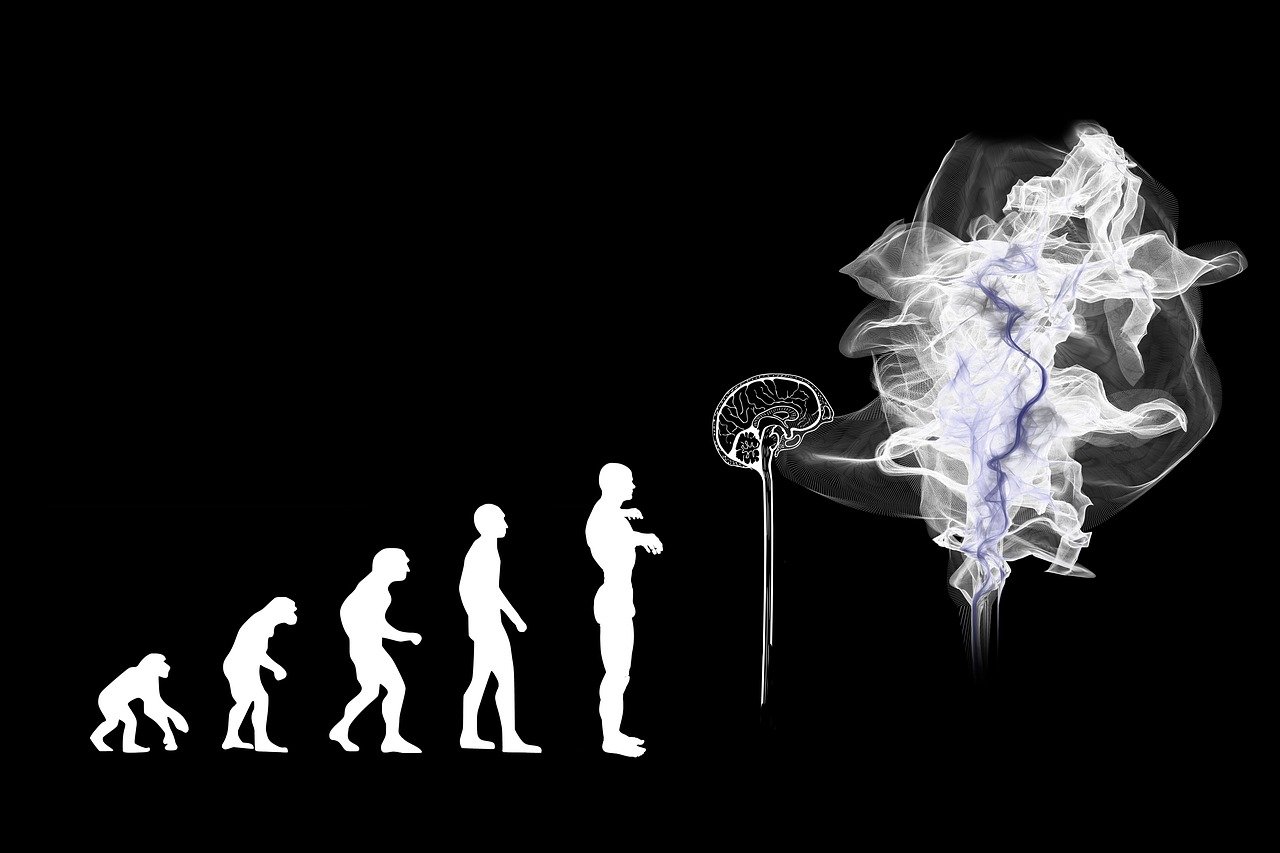The Future of AI in Business