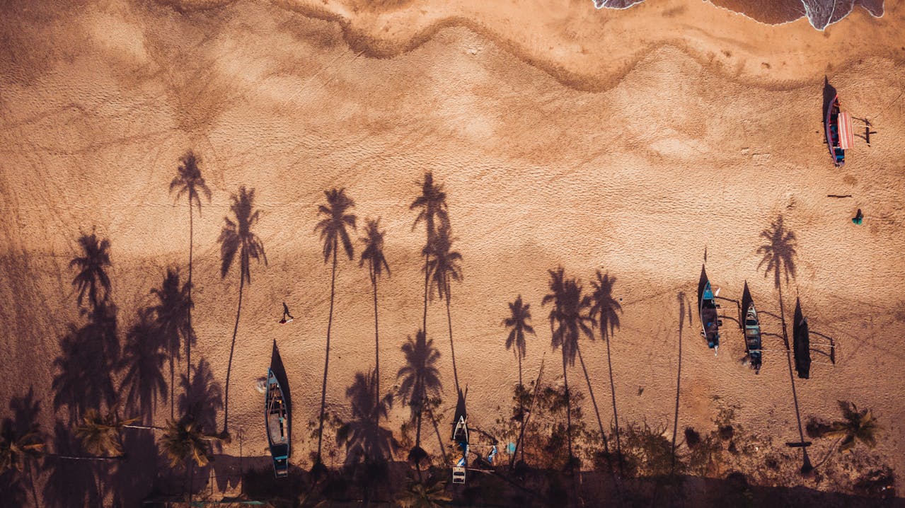 Few Lines on the Culture of Goa