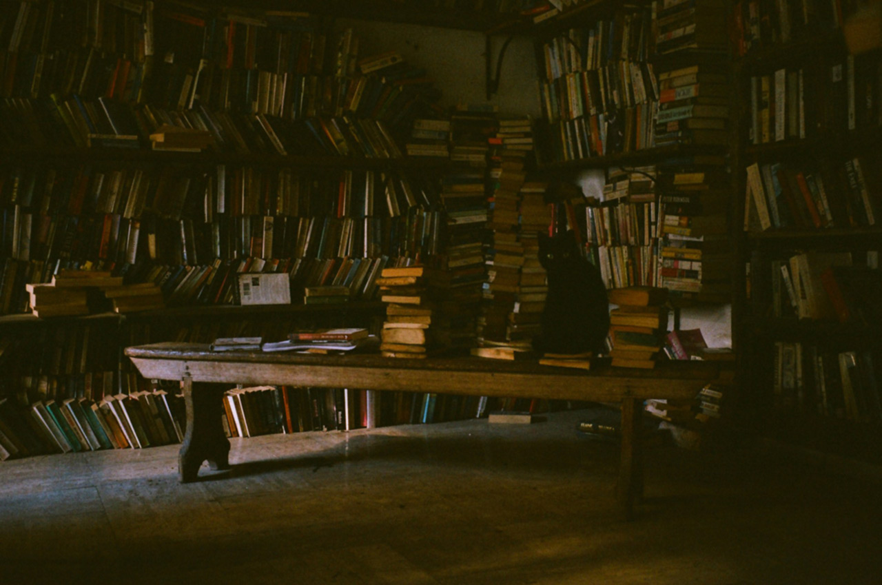 Vanishing-Charm-of-Old-Bookshops-01