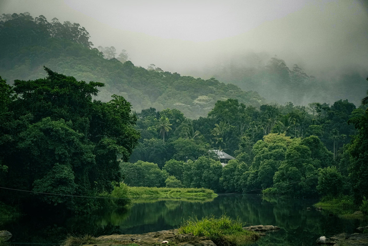 Places-To-Visit-in-Kerala-for-Weekend-Getaways-Thekkady