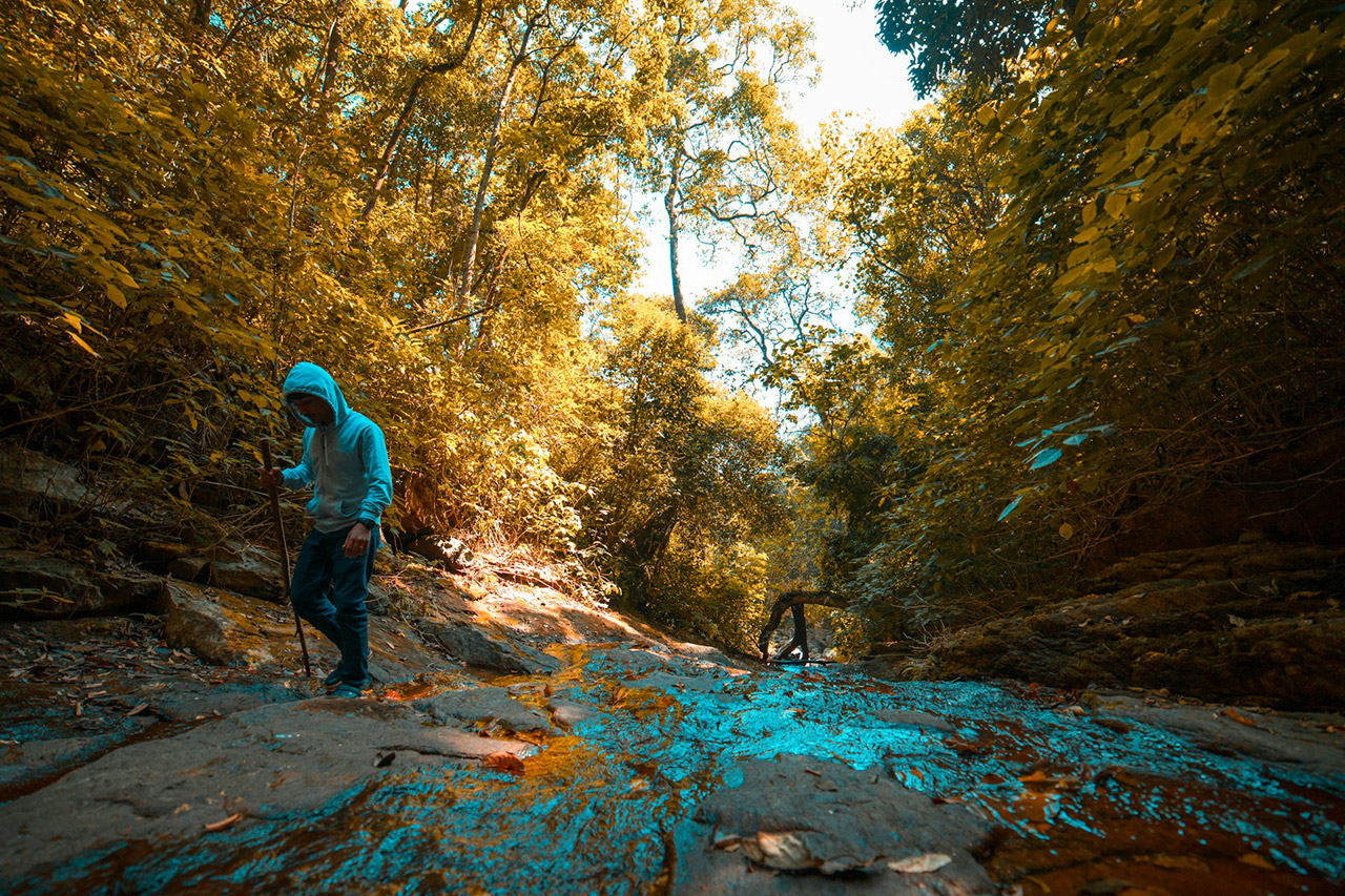 Places-To-Visit-in-Kerala-for-Weekend-Getaways-Wayanad