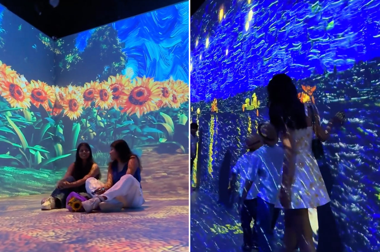 Da-Vinci-&-Van-Gogh-Art-Showcase,-Delhi-01