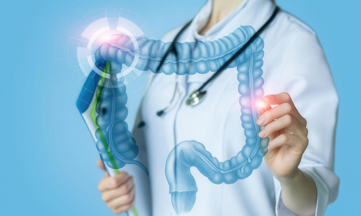 Akkermansia in Modern Digestive Health Solutions