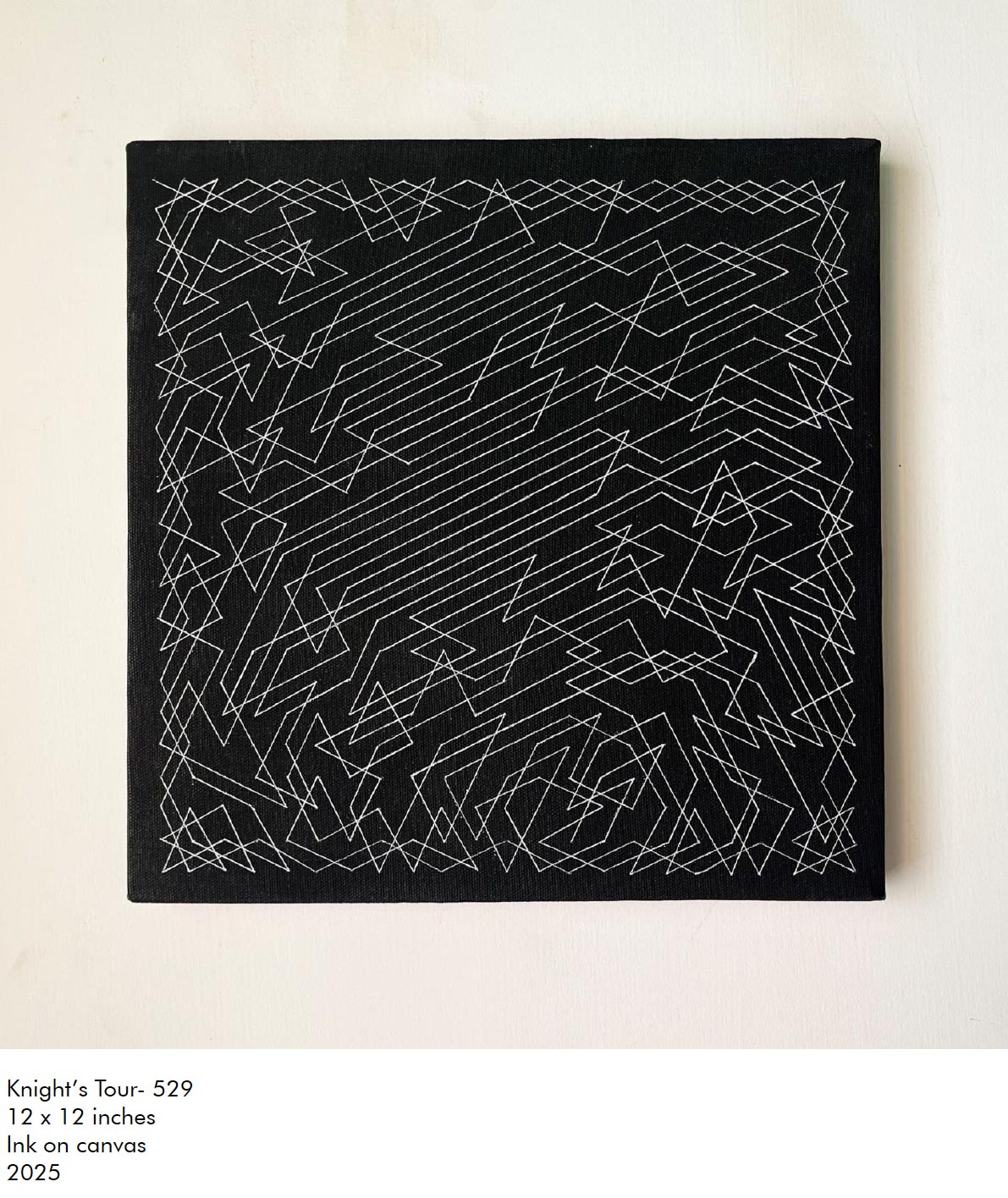 Chasing-Infinity-A-solo-Exhibition-by-Arvind-Sundar-04