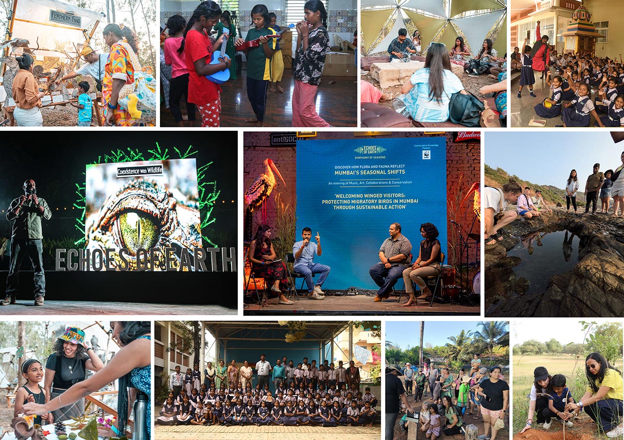 Echoes-of-Earth-Announces-2025-The-Greener-Side-Activation