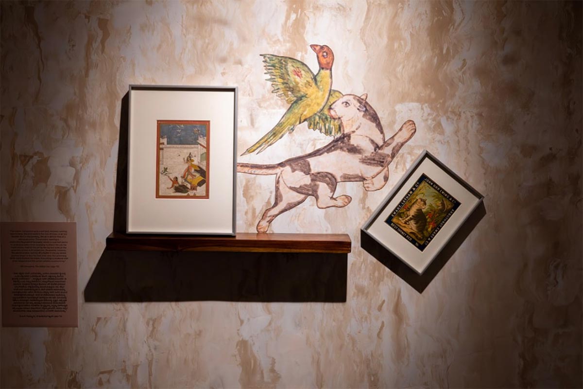 The-Many-Lives-of-the-Cat-MAP-Bengaluru-01