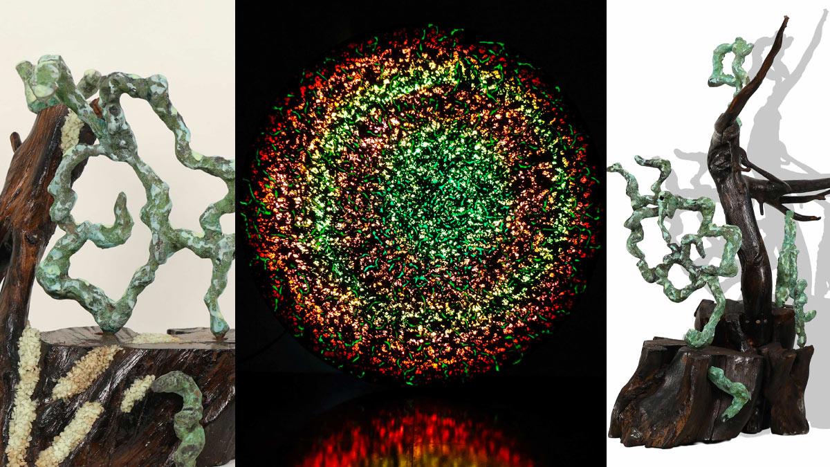 What-Remains-Awake-by-Sonika-Agarwal-01