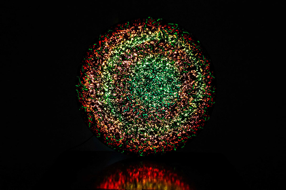 What-Remains-Awake-by-Sonika-Agarwal-04