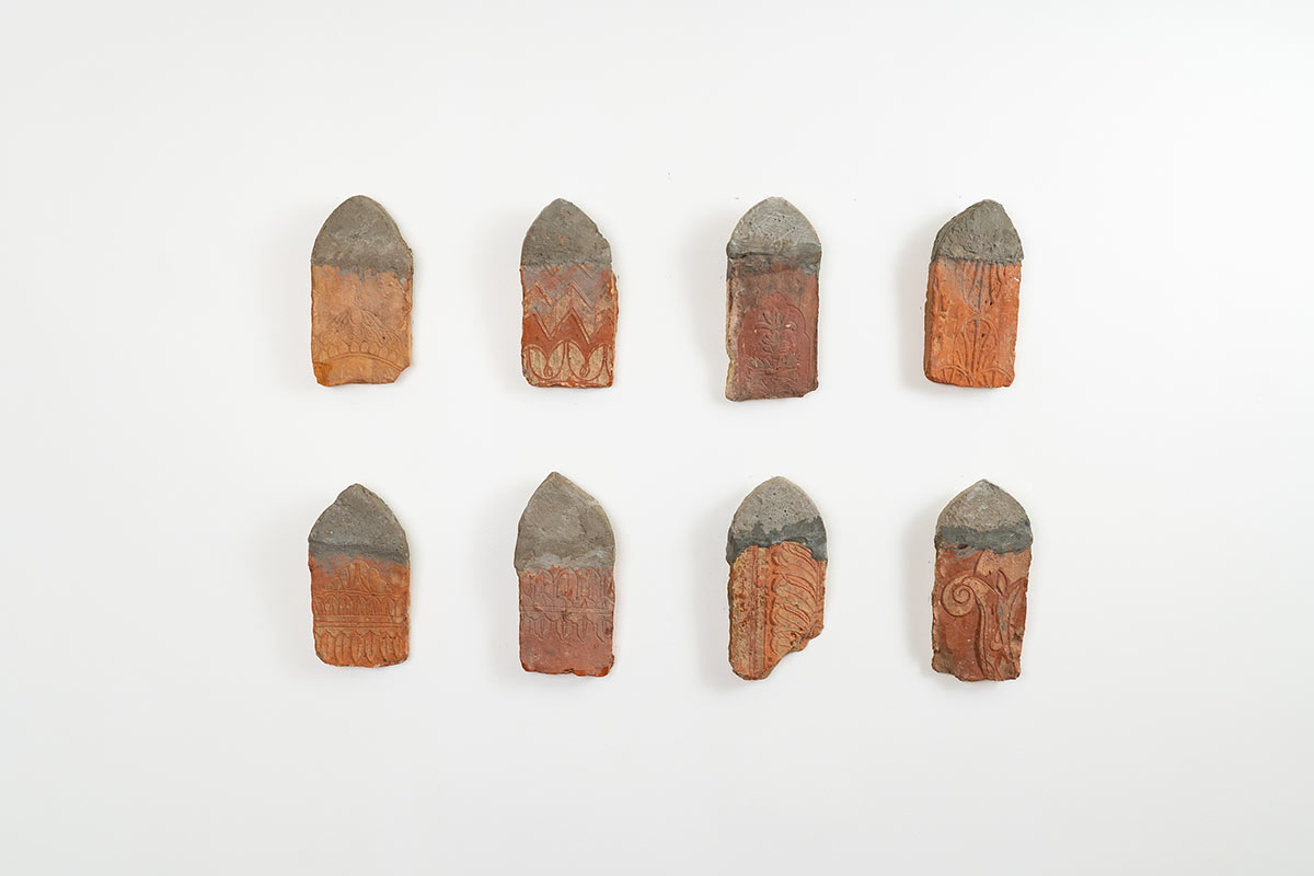 Syed-Ali-Sarvat-Jafri-Fighting-For-Existence-