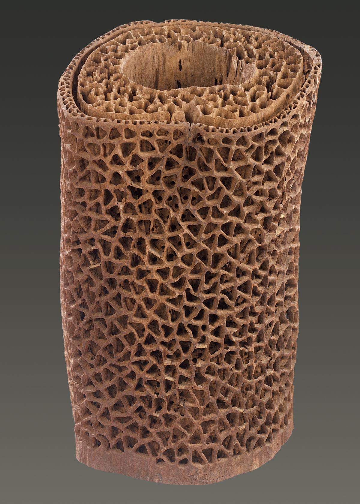 Delhi-Art-Society’s-Samanvaya-Show-03