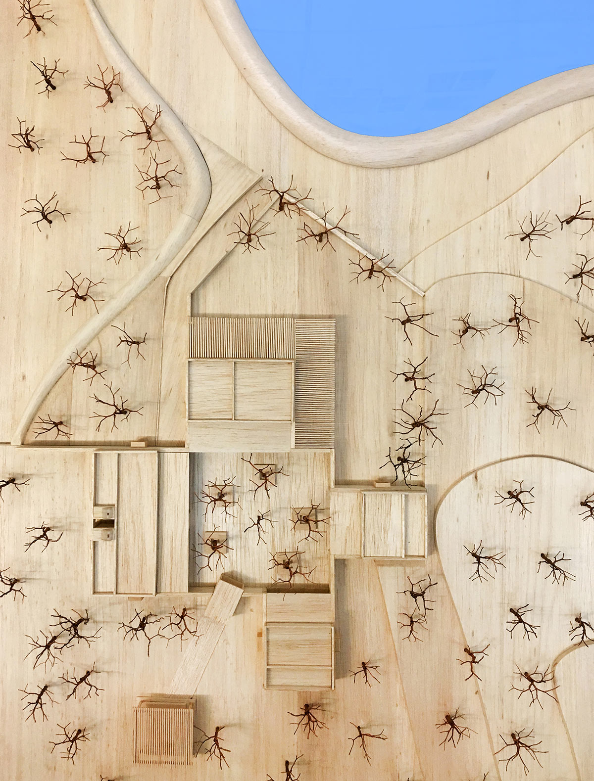 RMA-Architects-Hathigaon-Model-Plan