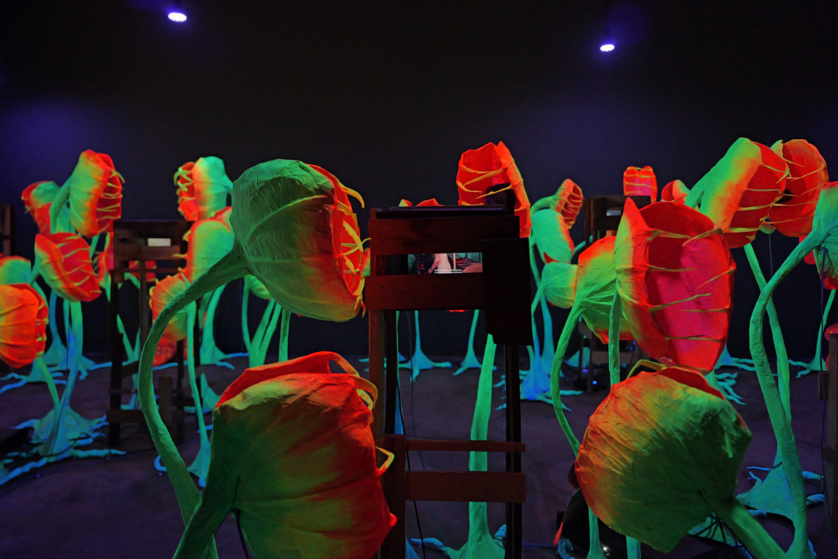 Dhiraj Rabha, The quiet weight of shadows (2025), Audio-visual installation, Size variable Courtesy of Anant Art