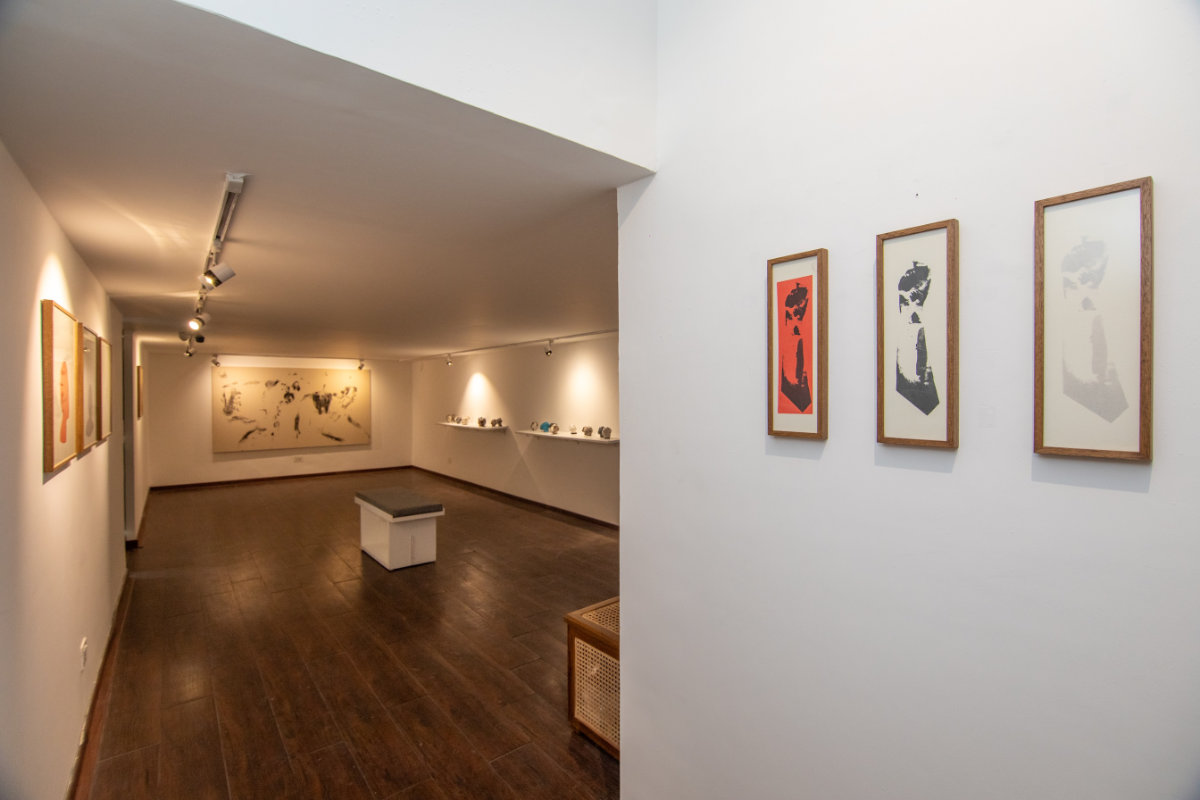 Rewati Shahani RS install 3
