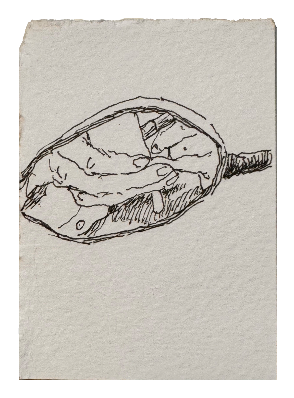 Thamshangpha Maku, Self Portrait (Part of the Back Portrait series), 2026, Micron pen on paper, 8.5 x 5.5 in