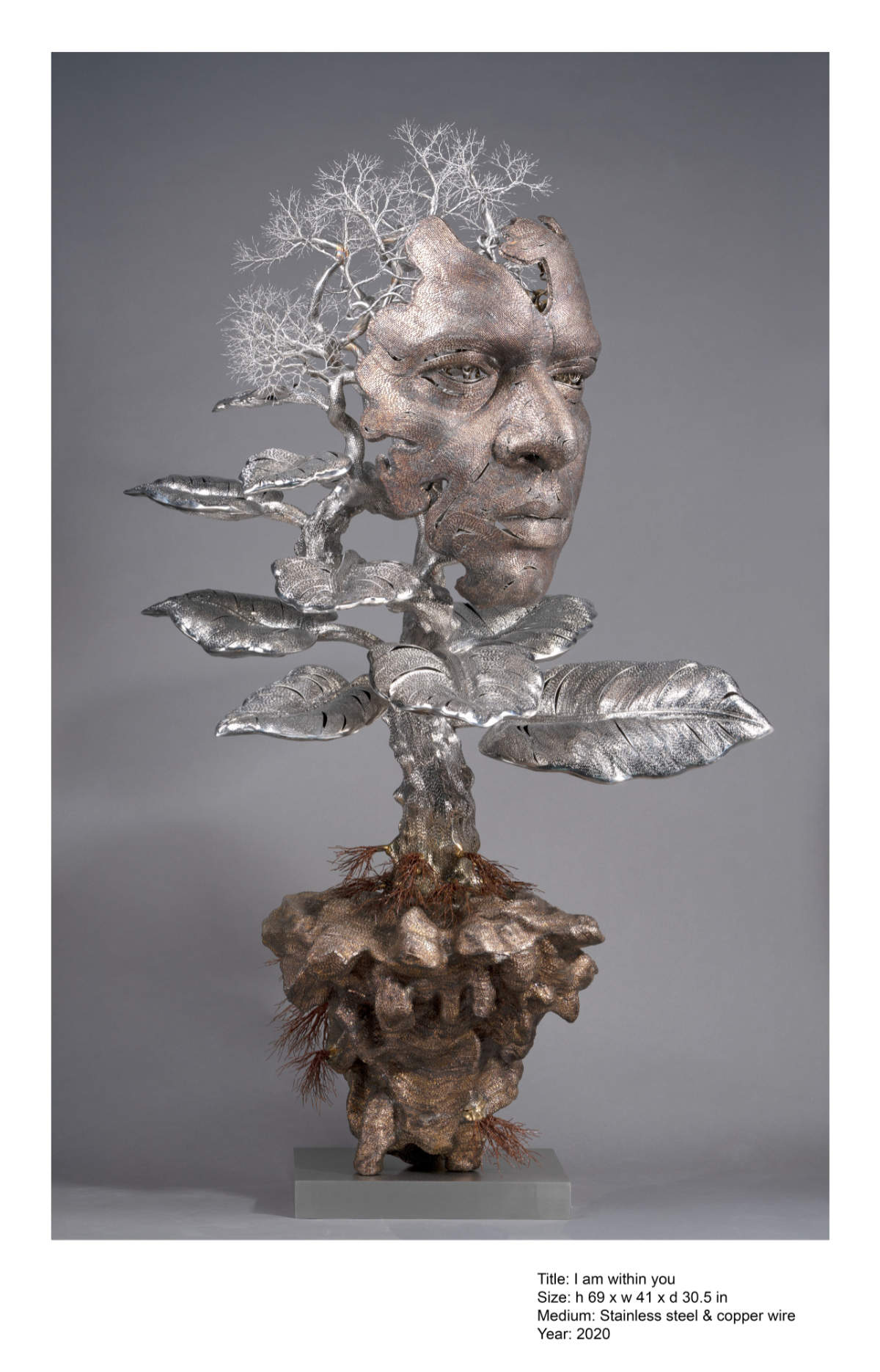 I am within you _ 69_ x 41_ x 30.5_ _ Stainless steel & copper wire