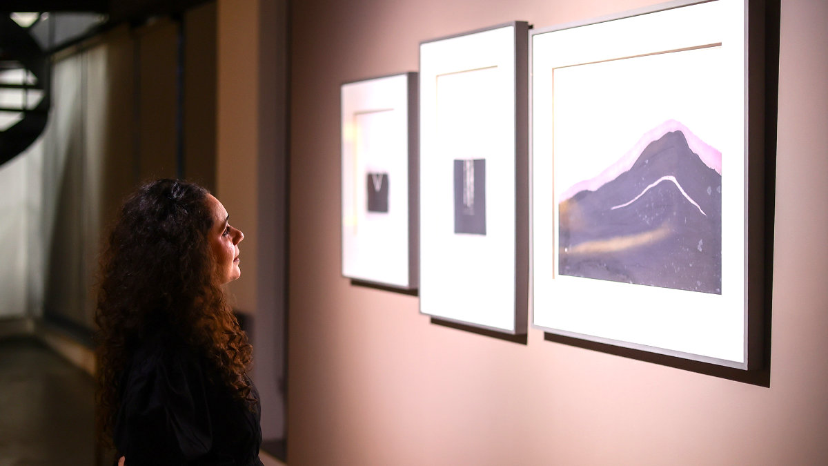 Many Modernisms at Thapar Gallery-01