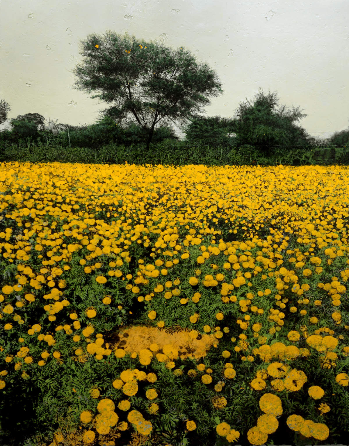 Pulkit Prajapati_Untitled 1.3