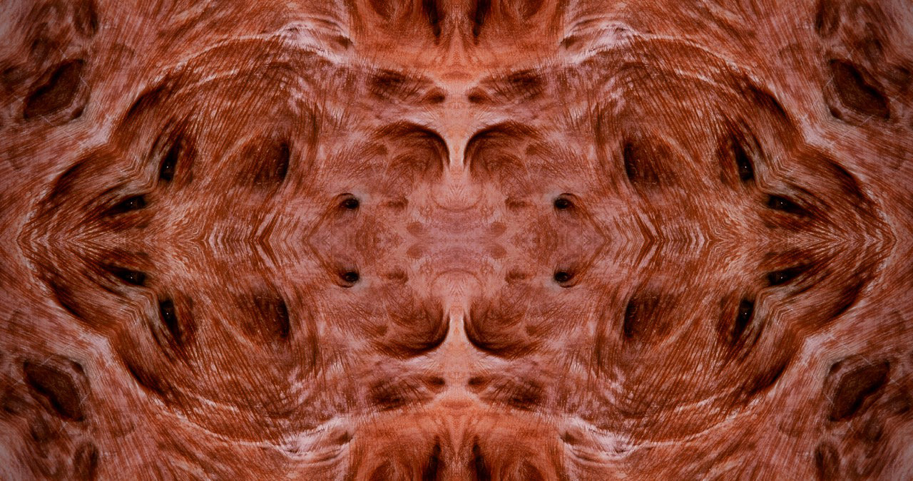 Skin, Mirrored II
