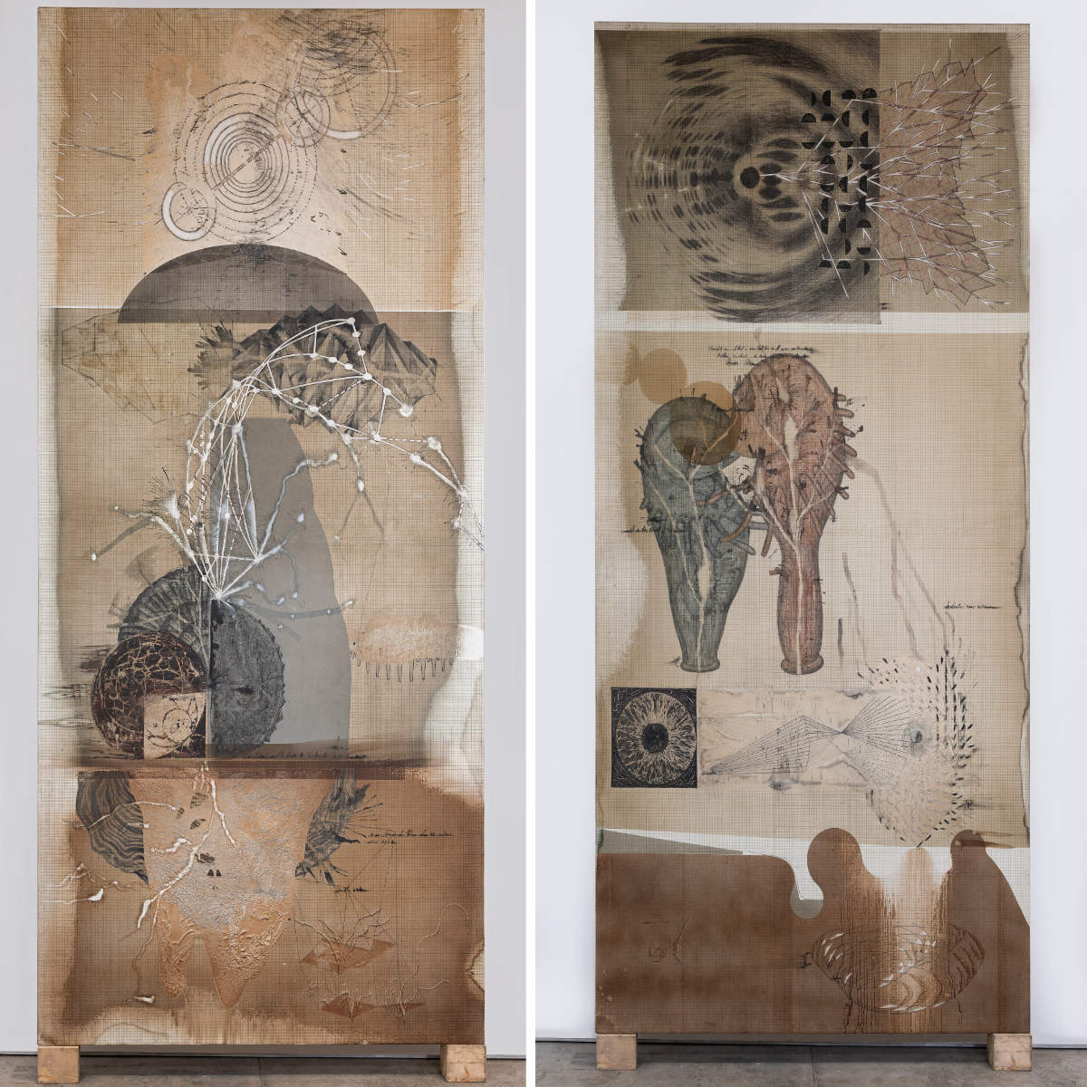 Jitish Kallat Conjectures on a Paper Sky